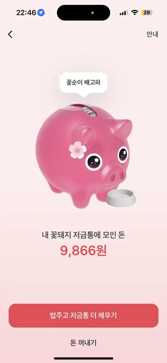 토스 꽃돼지 이벤트 서로 해요!